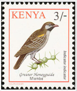 Honeyguide Stamp